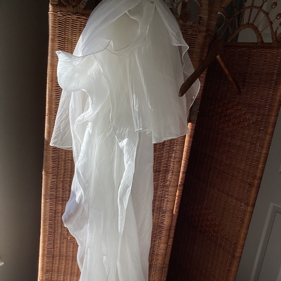 Jenny Yoo Noa wedding dress - Picture 11 of 11